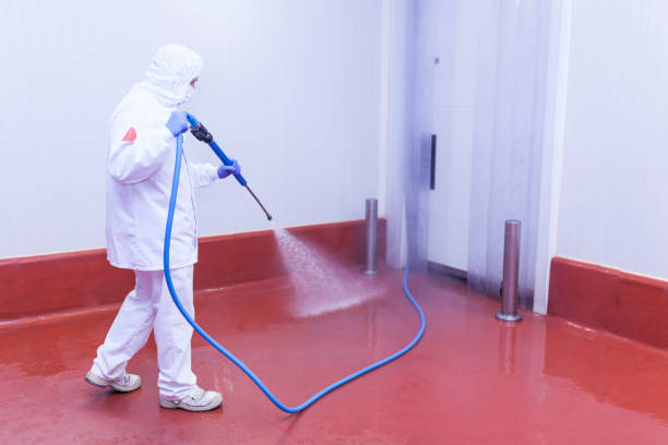 Best Graffiti Removal Services in Uhland, TX